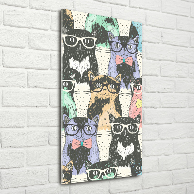 Acrylic print Cats with glasses