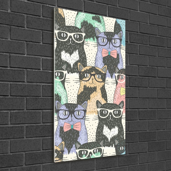 Acrylic print Cats with glasses