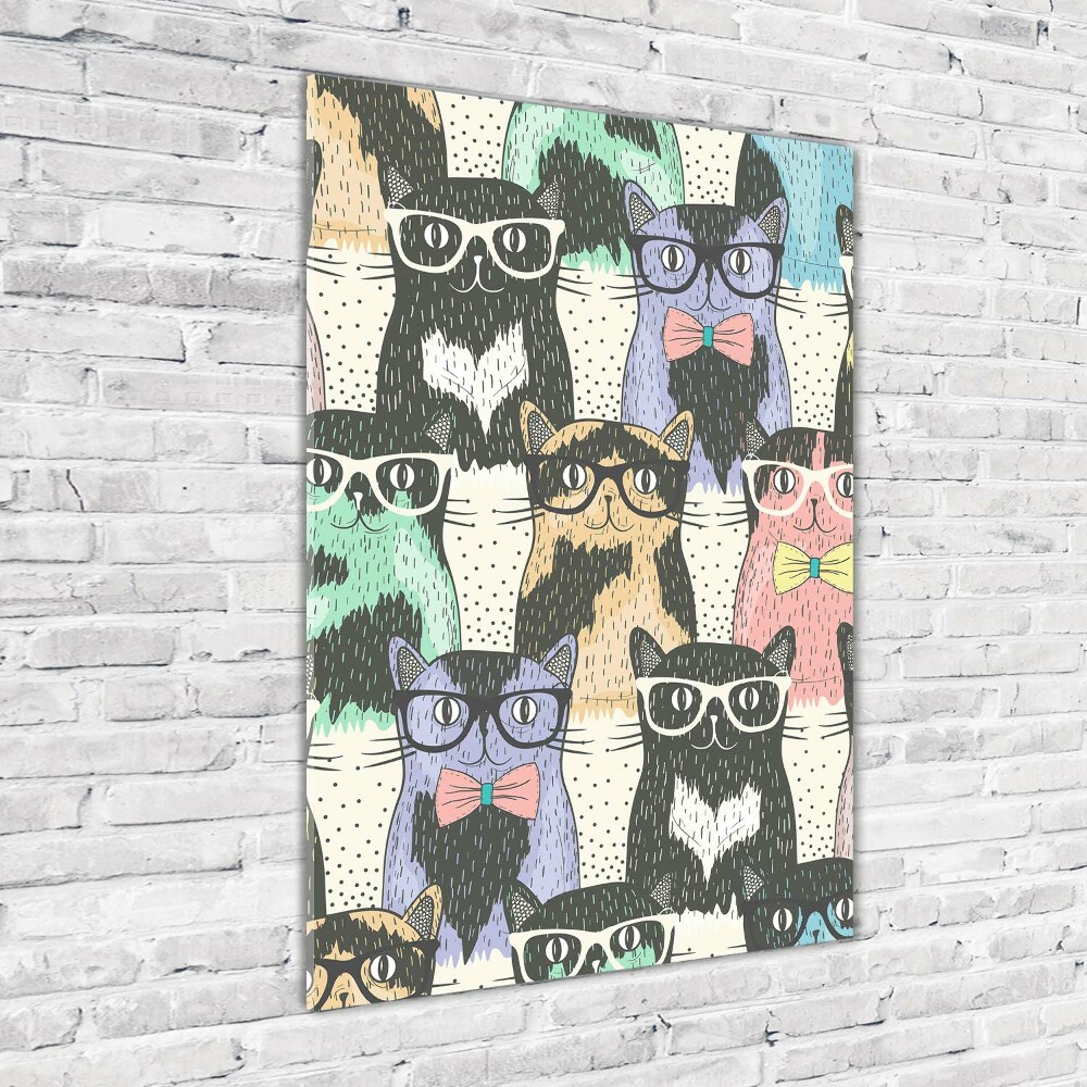 Acrylic print Cats with glasses