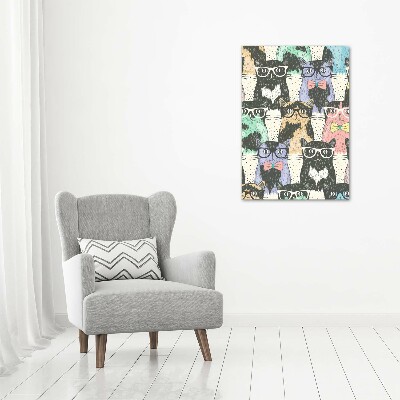 Acrylic print Cats with glasses