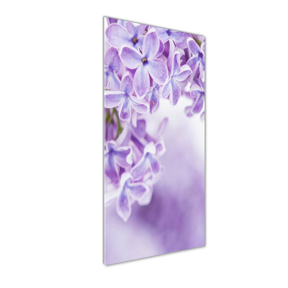 Print on acrylic glass Lilac flowers