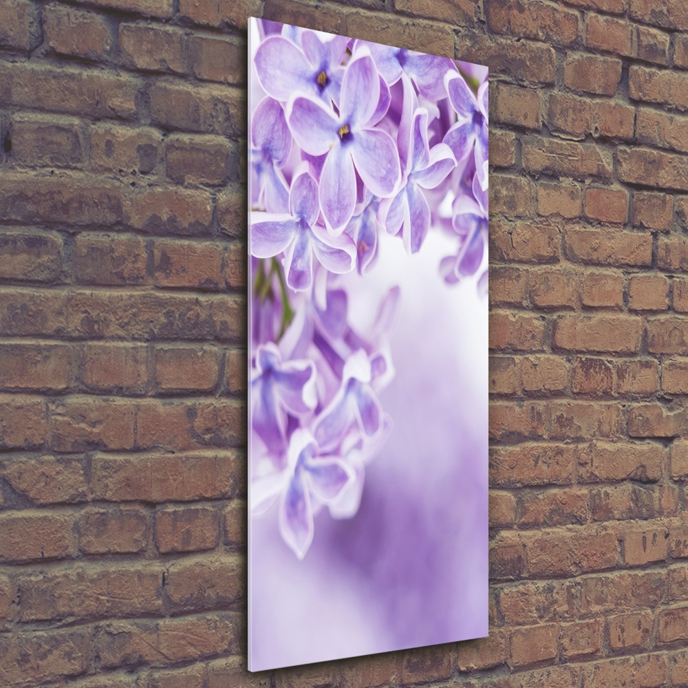 Print on acrylic glass Lilac flowers