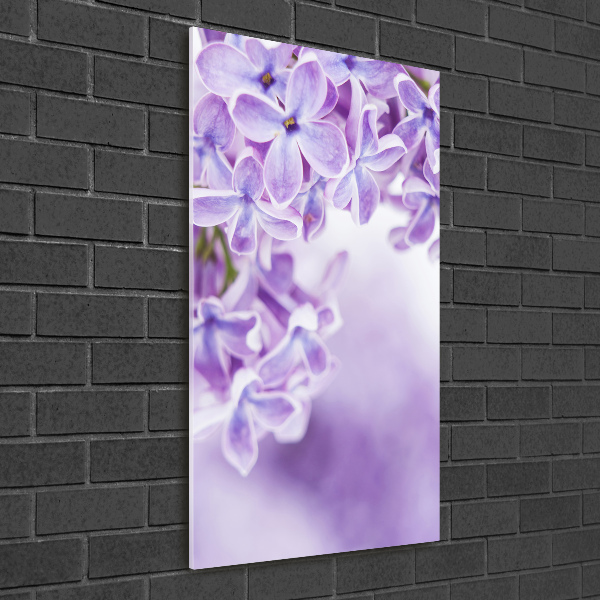 Print on acrylic glass Lilac flowers