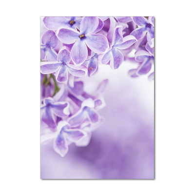 Print on acrylic glass Lilac flowers