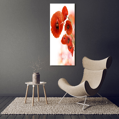 Print on acrylic glass Field poppy