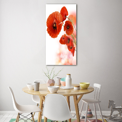 Print on acrylic glass Field poppy