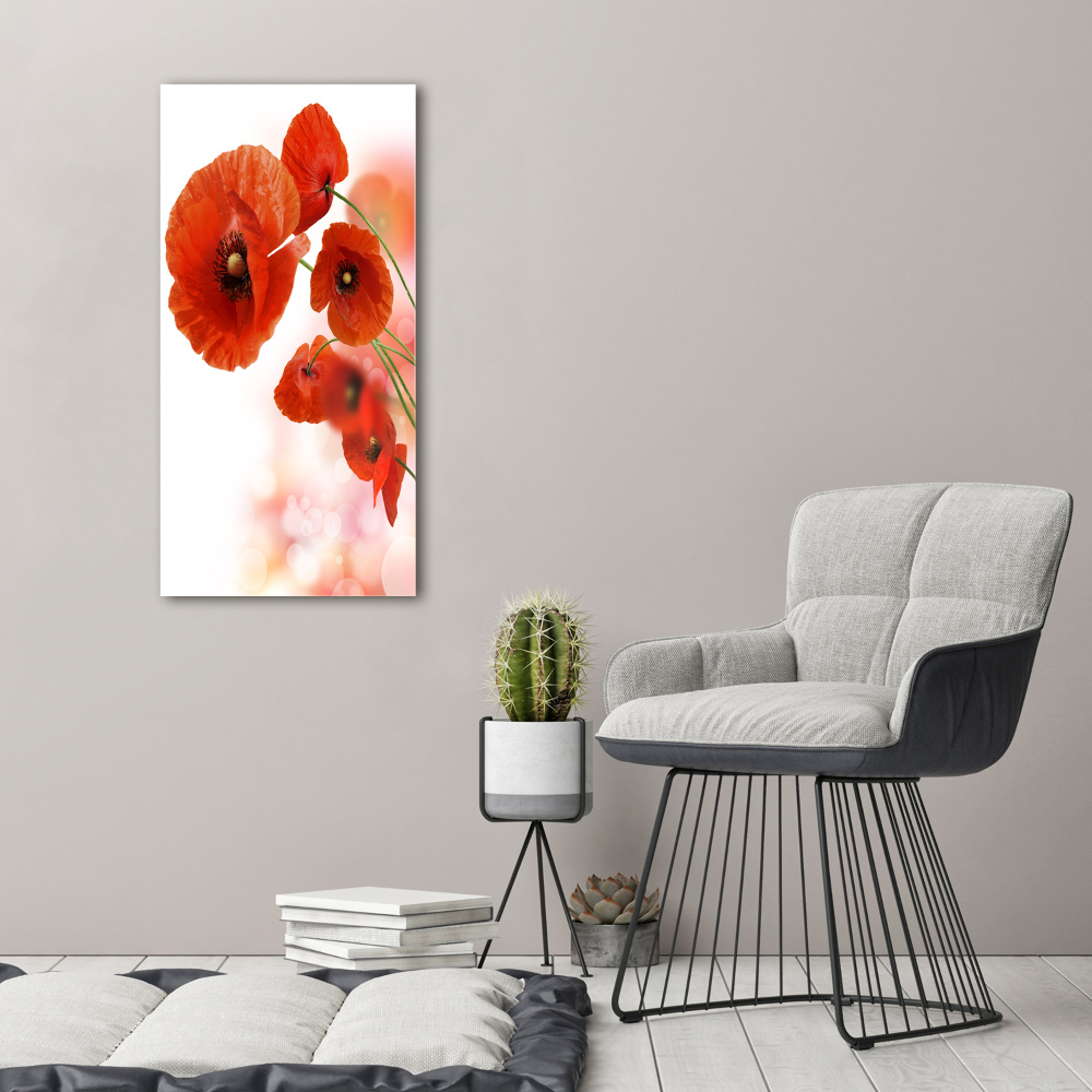 Print on acrylic glass Field poppy