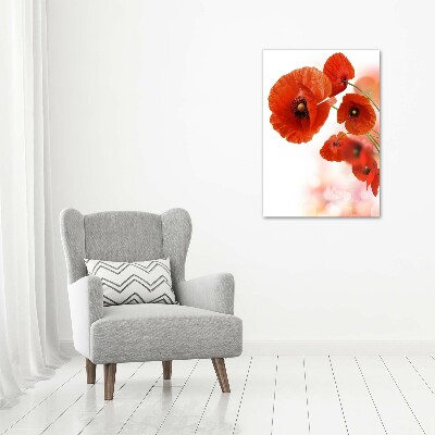 Print on acrylic glass Field poppy