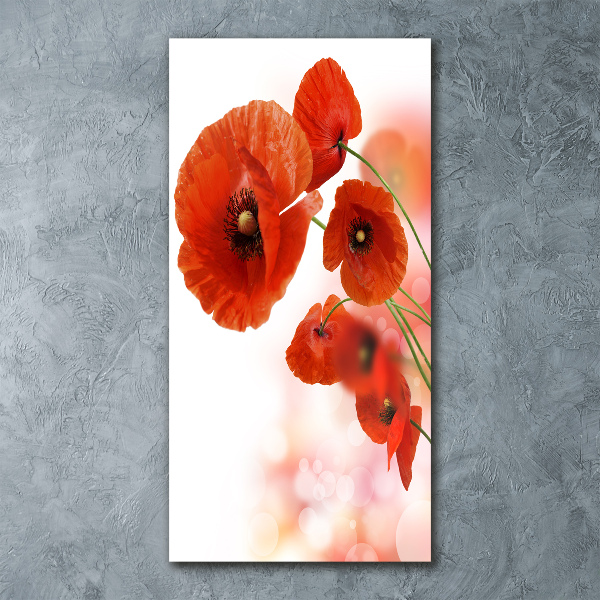 Print on acrylic glass Field poppy