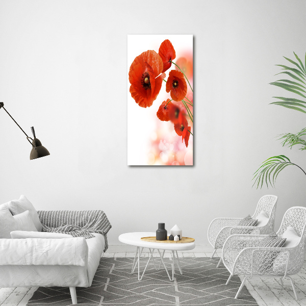 Print on acrylic glass Field poppy