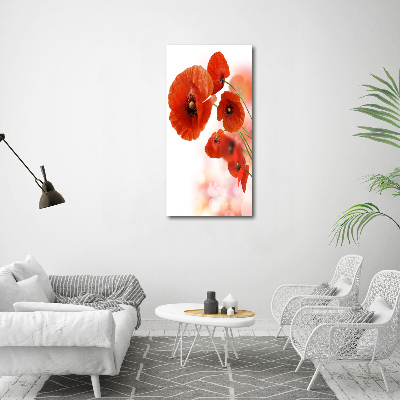 Print on acrylic glass Field poppy