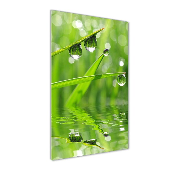 Print on acrylic glass Blade of grass