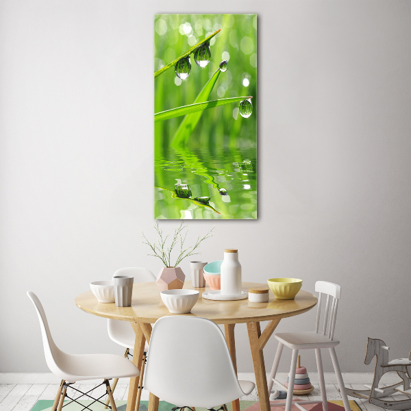 Print on acrylic glass Blade of grass