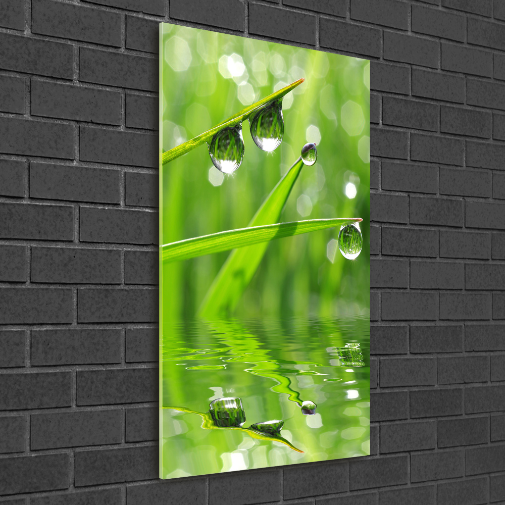 Print on acrylic glass Blade of grass