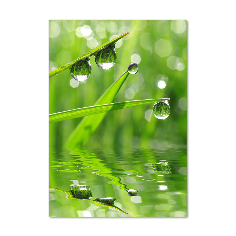 Print on acrylic glass Blade of grass