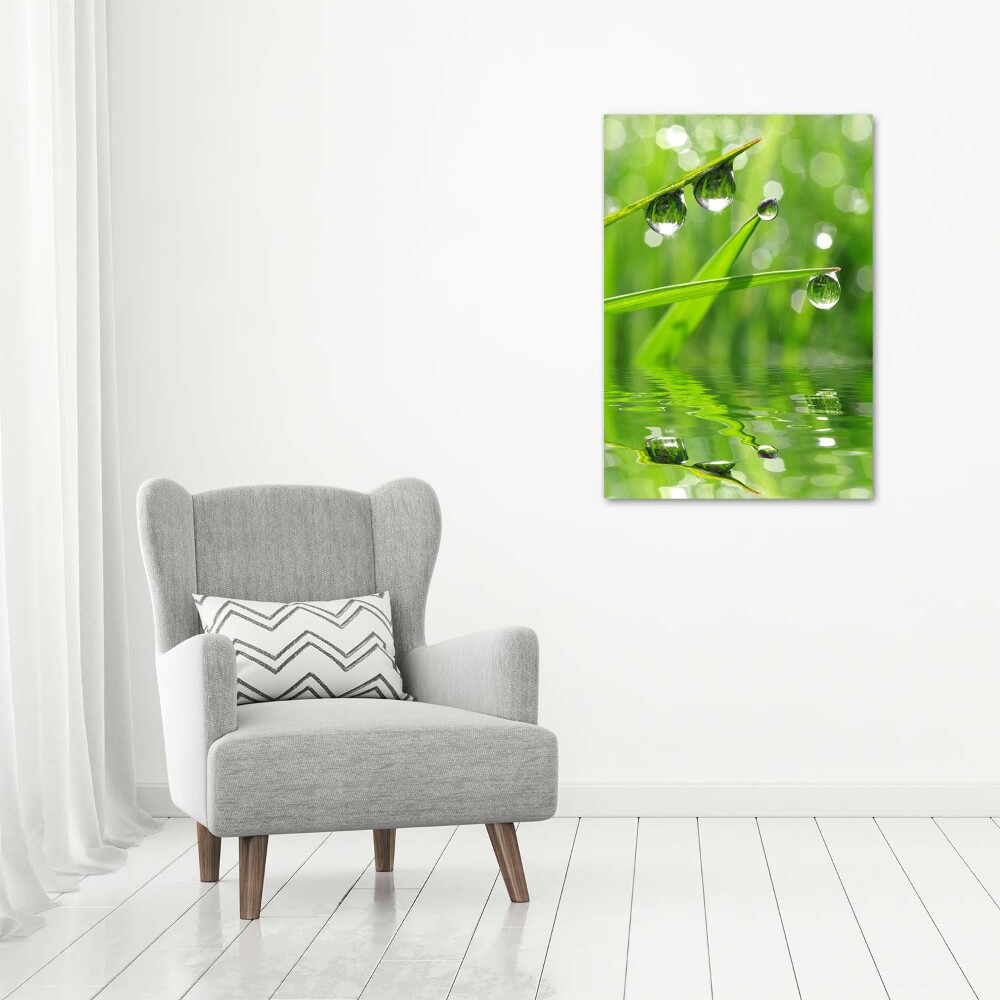 Print on acrylic glass Blade of grass