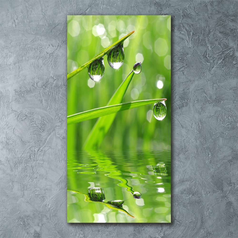 Print on acrylic glass Blade of grass