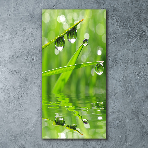 Print on acrylic glass Blade of grass