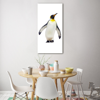 Print on acrylic glass Penguin