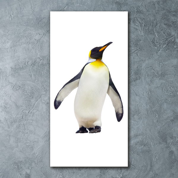 Print on acrylic glass Penguin