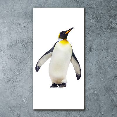 Print on acrylic glass Penguin