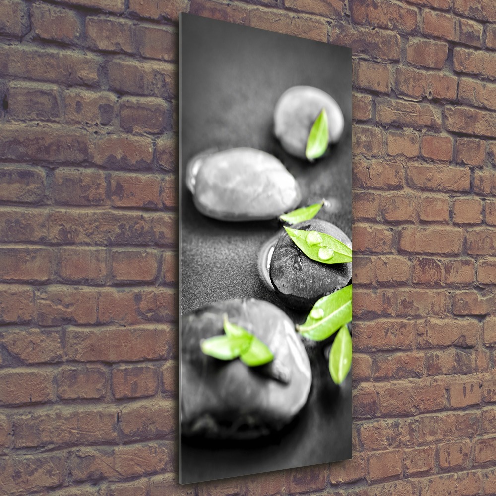 Acrylic glass print Zen stones leaves