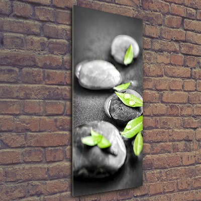 Acrylic glass print Zen stones leaves