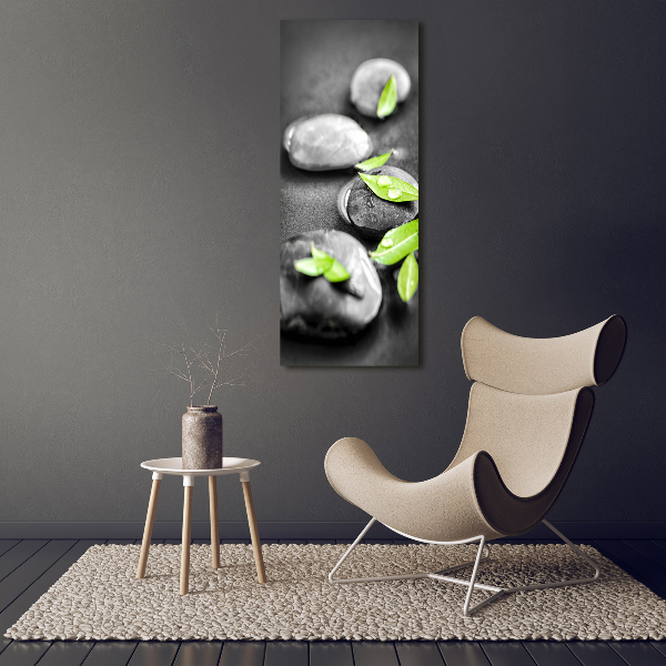 Acrylic glass print Zen stones leaves