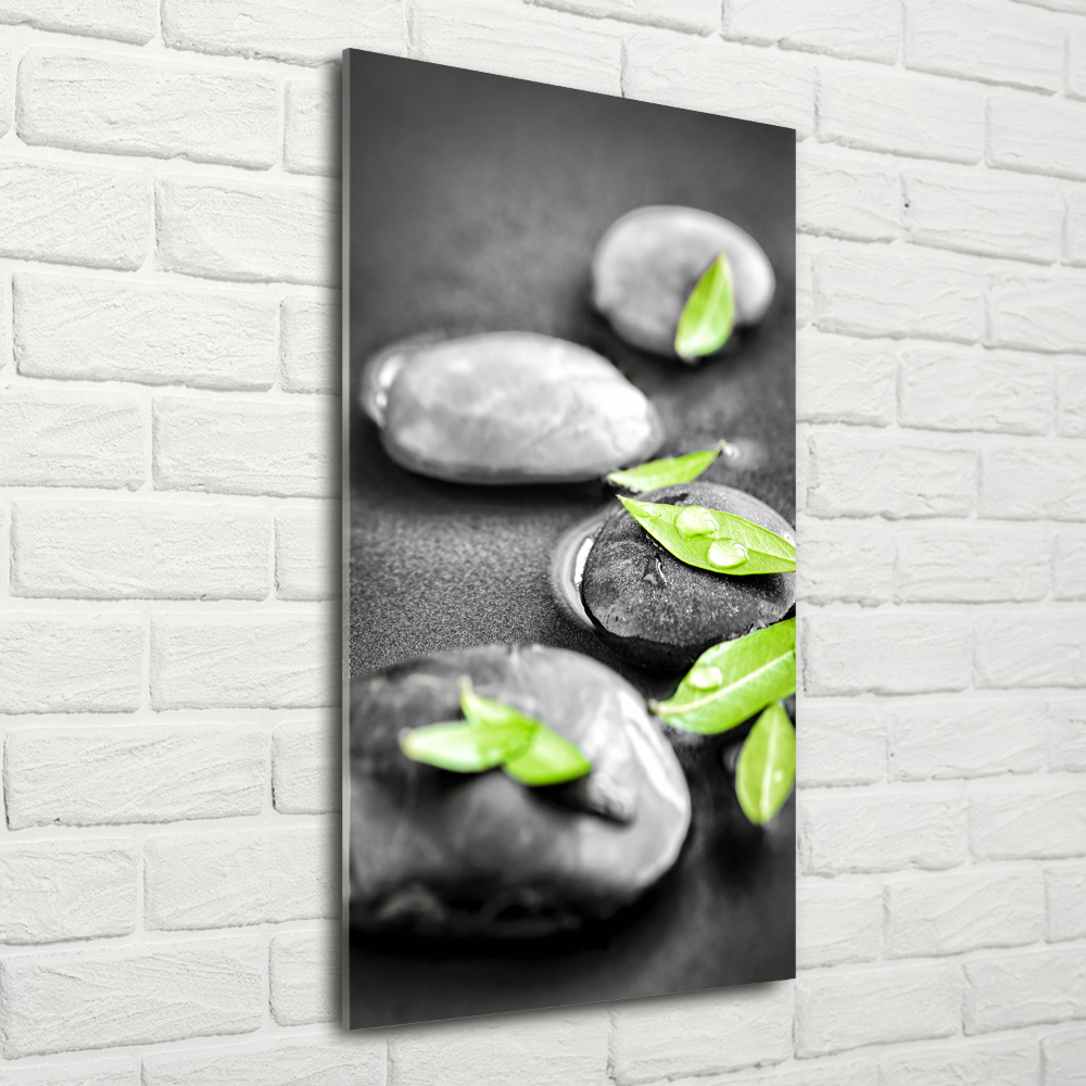 Acrylic glass print Zen stones leaves