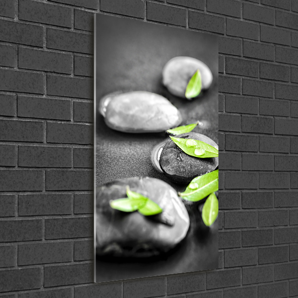 Acrylic glass print Zen stones leaves