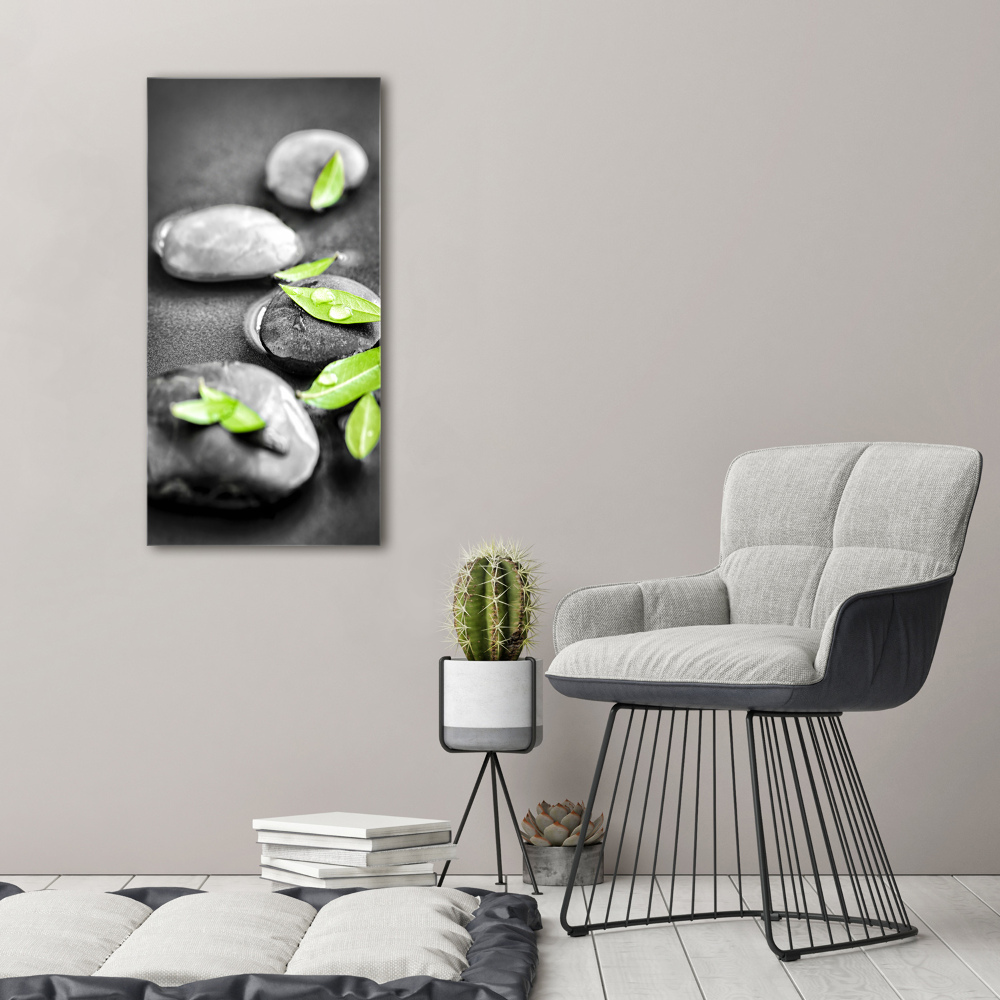 Acrylic glass print Zen stones leaves