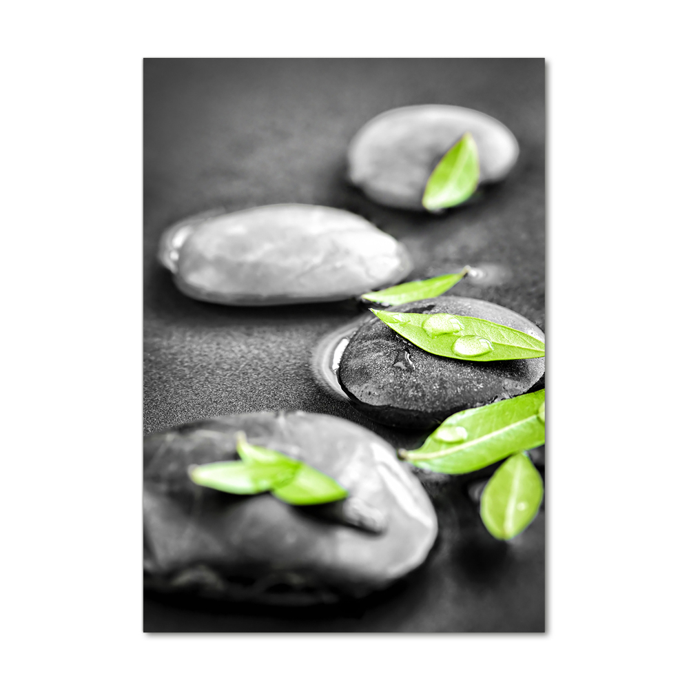 Acrylic glass print Zen stones leaves