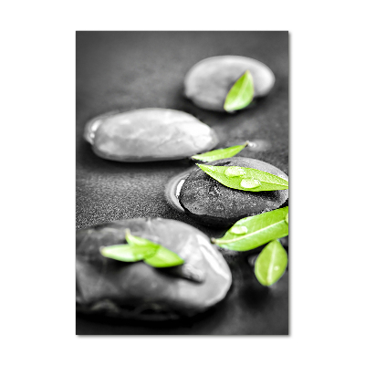 Acrylic glass print Zen stones leaves