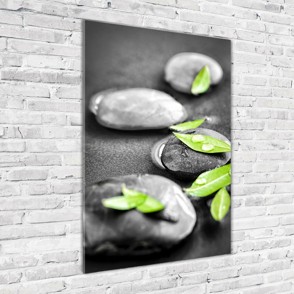 Acrylic glass print Zen stones leaves