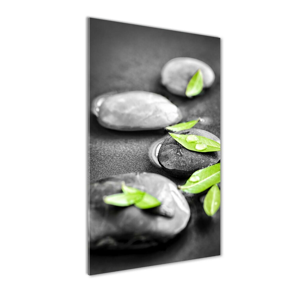 Acrylic glass print Zen stones leaves