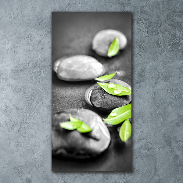 Acrylic glass print Zen stones leaves