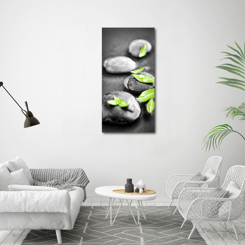 Acrylic glass print Zen stones leaves