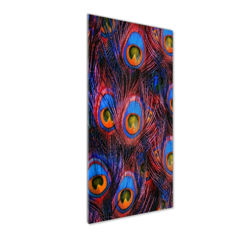 Acrylic glass print Peacock feathers