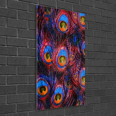 Acrylic glass print Peacock feathers