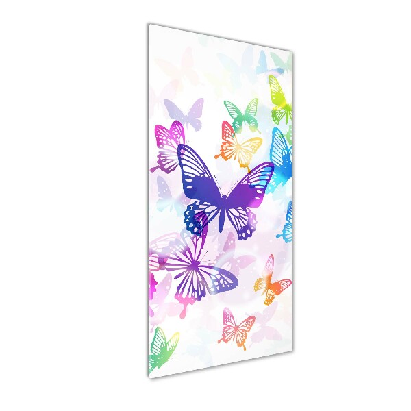 Print on acrylic Colorful butterflies