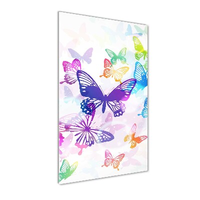 Print on acrylic Colorful butterflies