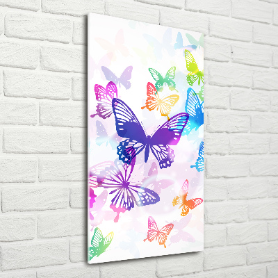 Print on acrylic Colorful butterflies