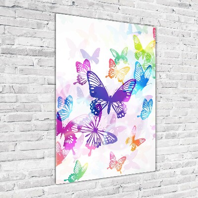 Print on acrylic Colorful butterflies