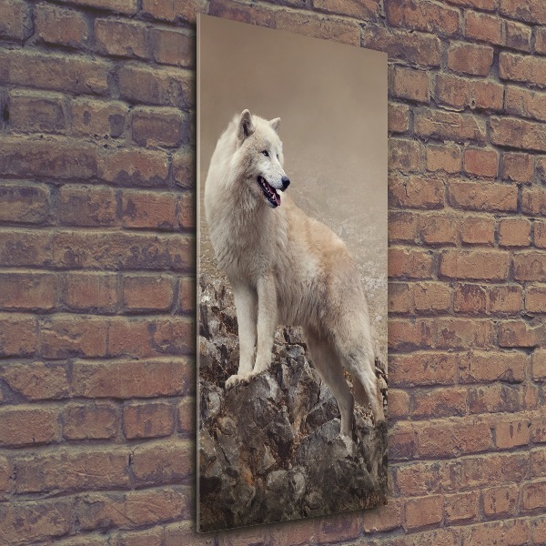 Print on acrylic glass Wolf on the rock