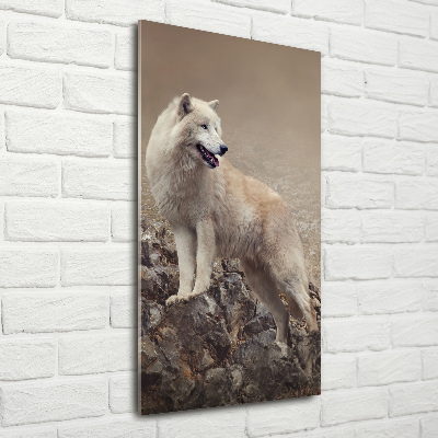 Print on acrylic glass Wolf on the rock