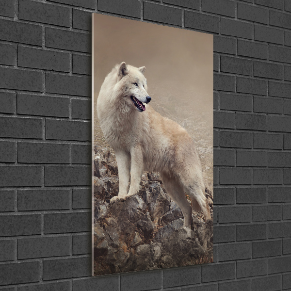 Print on acrylic glass Wolf on the rock