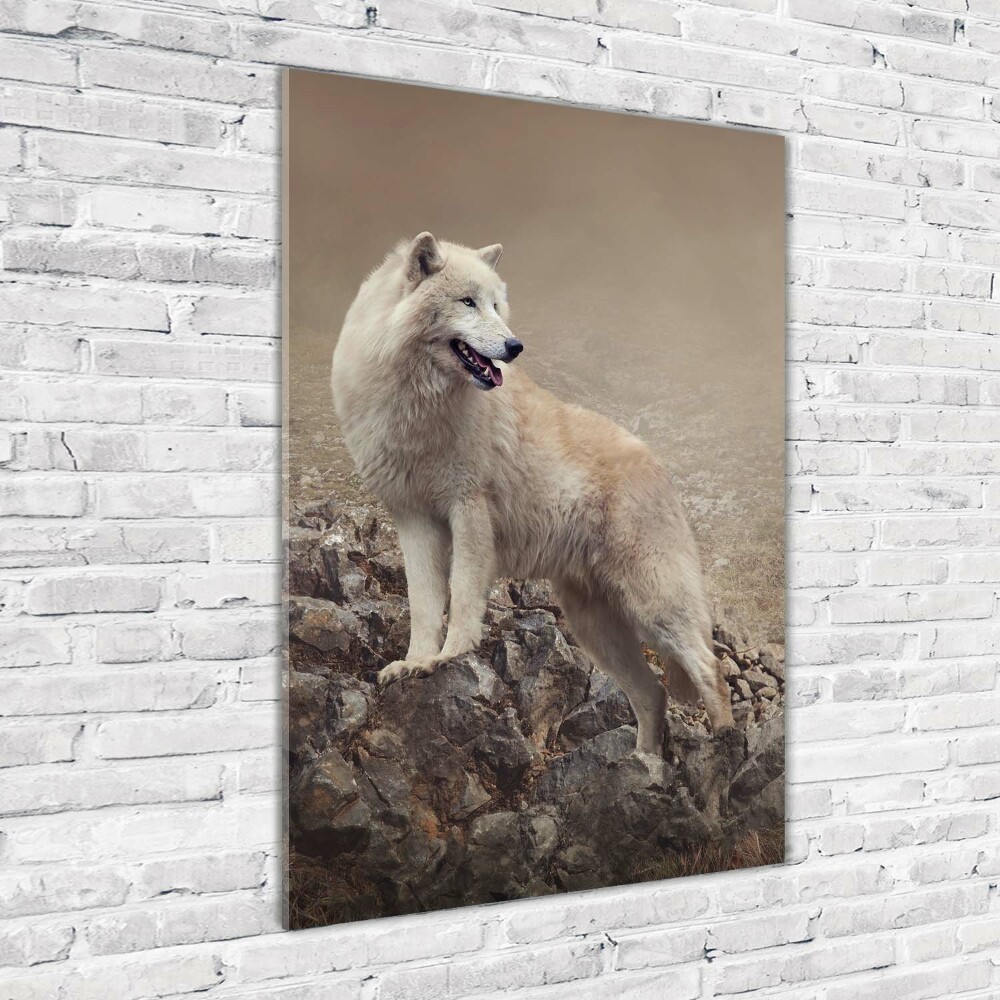 Print on acrylic glass Wolf on the rock