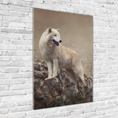 Print on acrylic glass Wolf on the rock