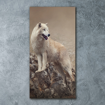 Print on acrylic glass Wolf on the rock