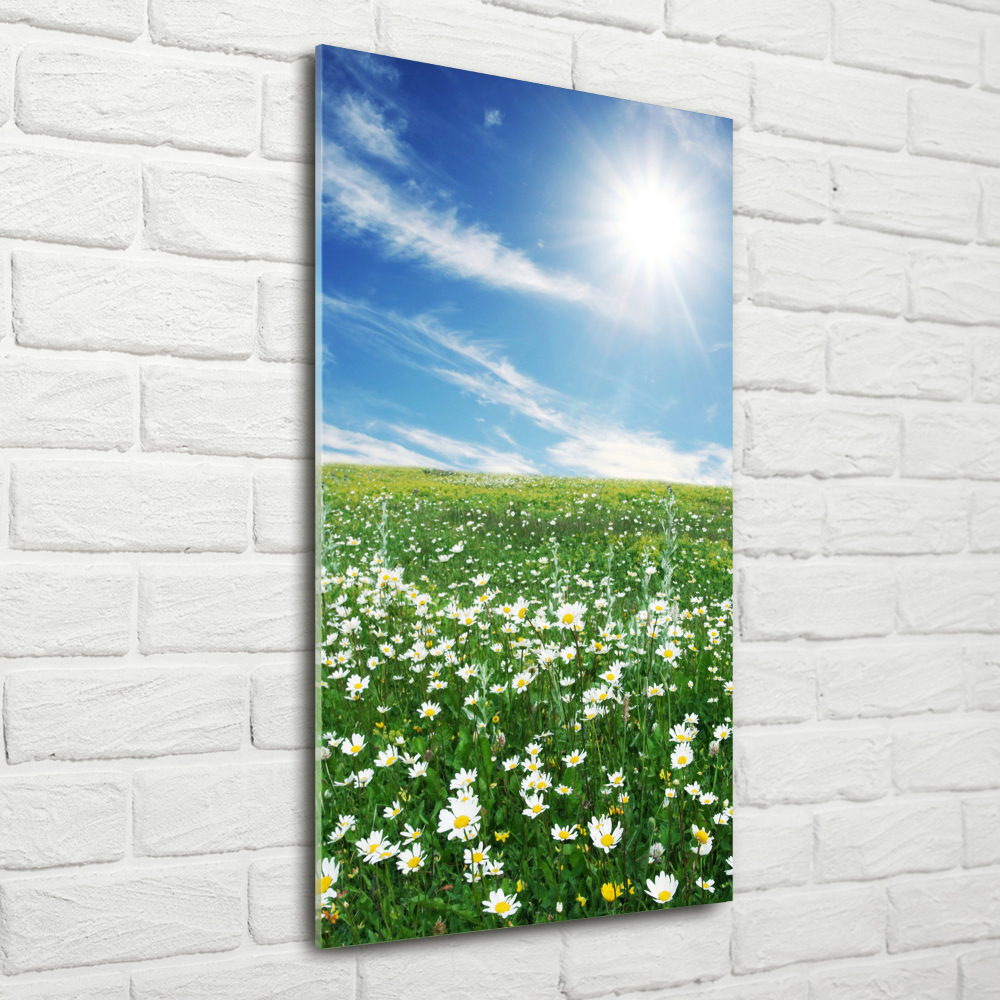 Print on acrylic Meadow